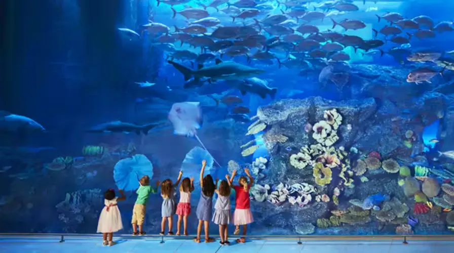 2. Visit Dubai Aquarium & Underwater Zoo