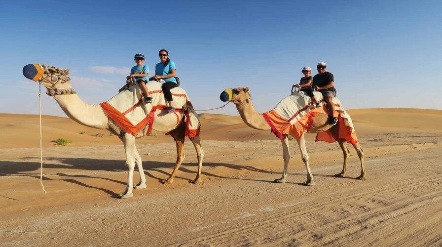 4. Experience a Desert Safari