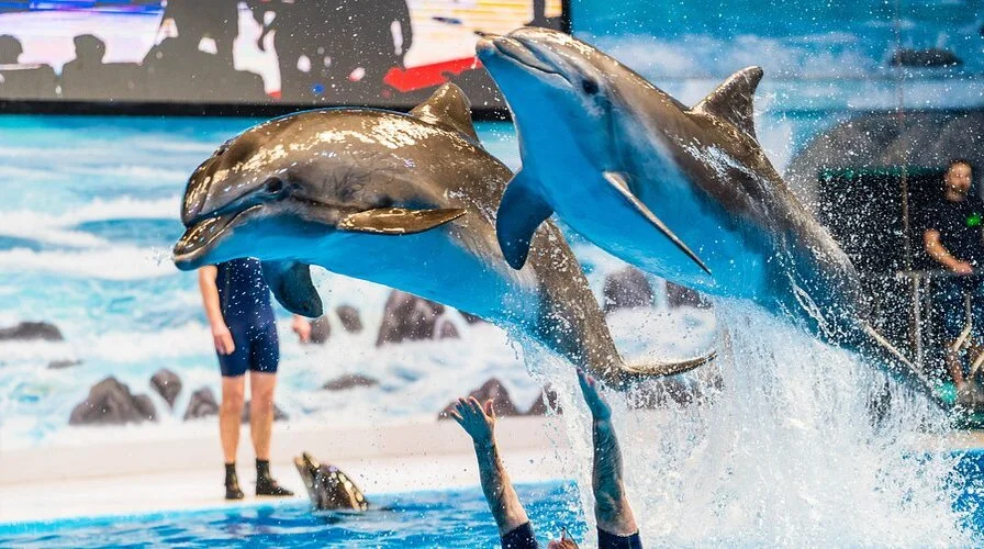 8. Explore Nature and Wildlife Parks