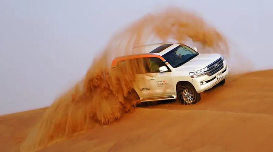 Desert Safari and Dune Bashing - Top Things to Do in Dubai in February