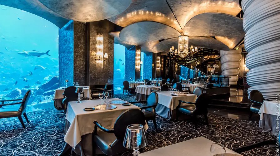 Nightlife, Dining, and Unique Experiences