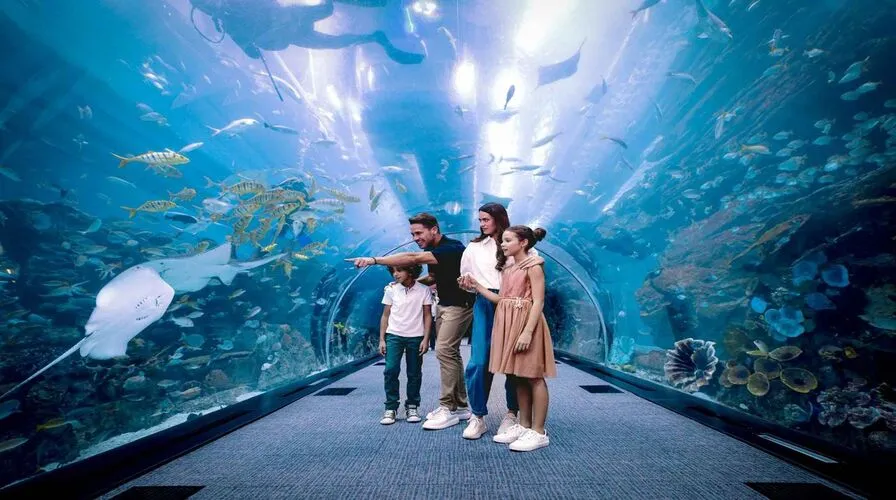 Indoor Attractions and Entertainment - Things to Do in Dubai in June