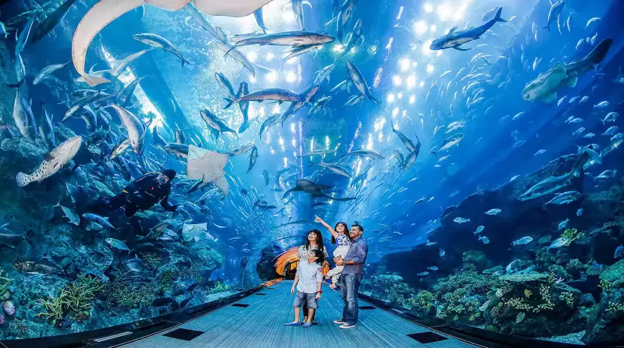 Indoor Attractions and Entertainment - Things to Do in Dubai in May